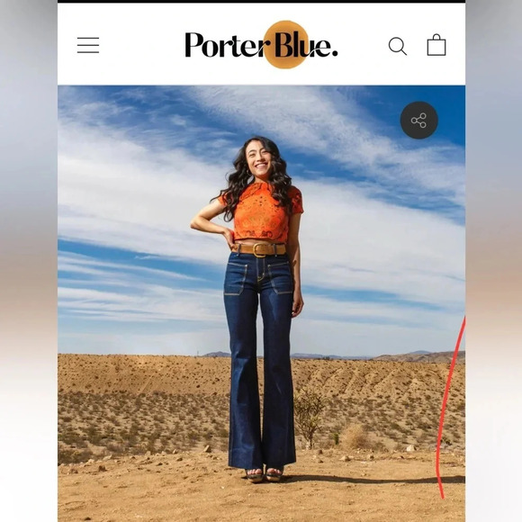 THE WANDERER FLARE - RINSE NWT size 27 - Picture 1 of 16